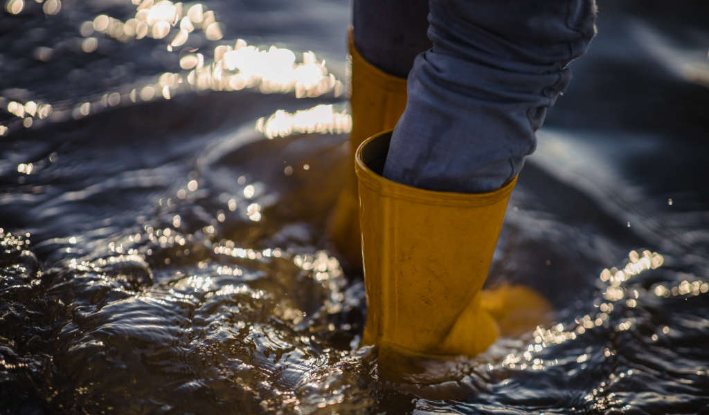 El camino de vuelta a casa: cómo cuidarte tras una inundación