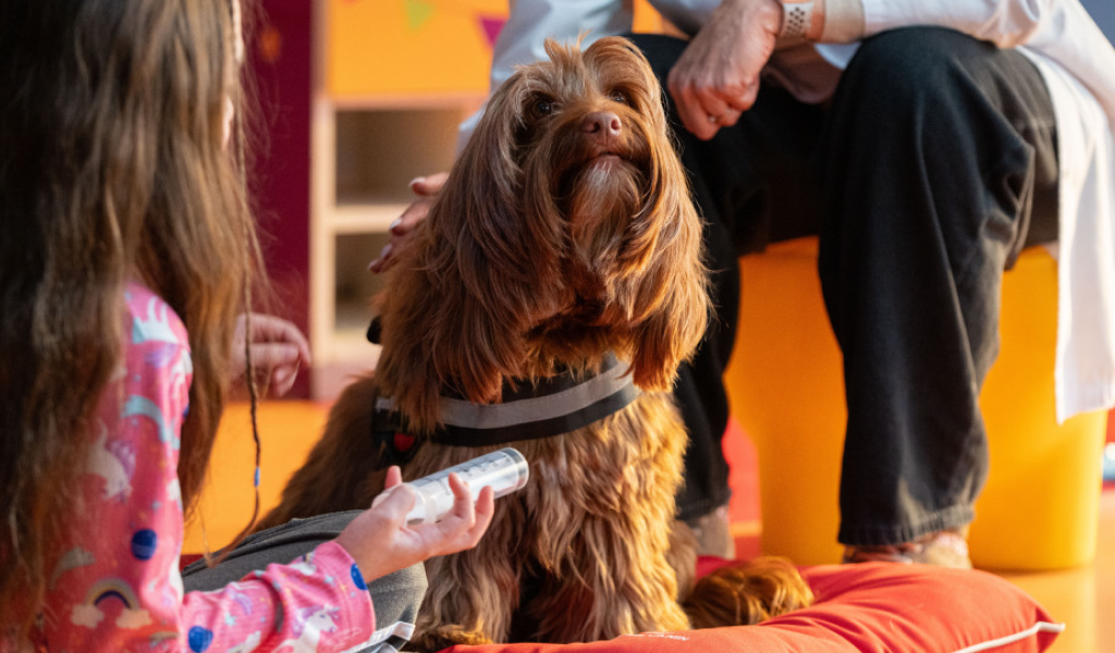 Juego terapéutico: humanizar la internación pediátrica