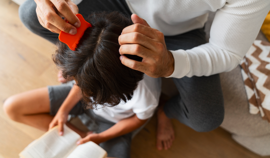 Pediculosis: un problema frecuente con solución